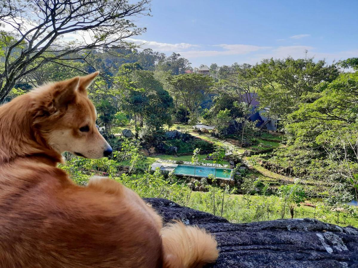 Glenmyu Estate Διαμέρισμα Haputale Εξωτερικό φωτογραφία
